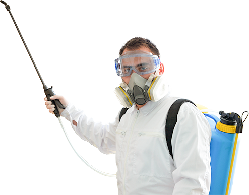 Pest Control Hertford: Pest Control Hertford